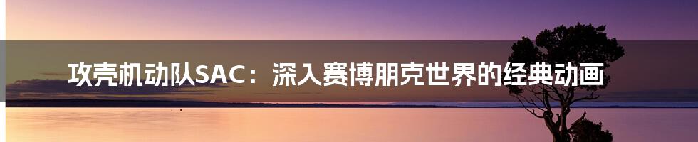 攻壳机动队SAC:深入赛博朋克世界的经典动画