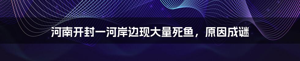 河南开封一河岸边现大量死鱼,原因成谜