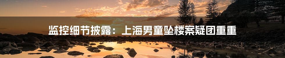 监控细节披露:上海男童坠楼案疑团重重