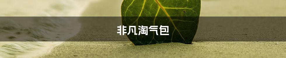 非凡淘气包
