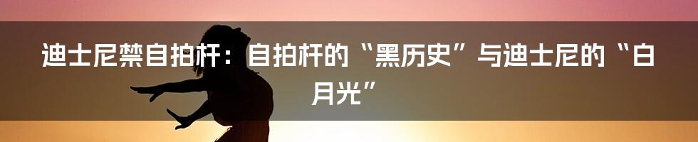 迪士尼禁自拍杆:自拍杆的“黑历史”与迪士尼的“白月光”