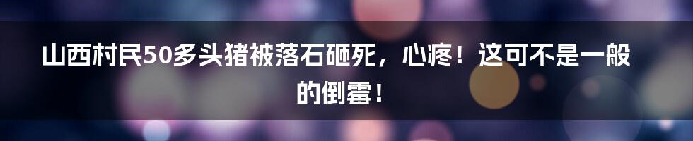 山西村民50多头猪被落石砸死,心疼!这可不是一般的倒霉!