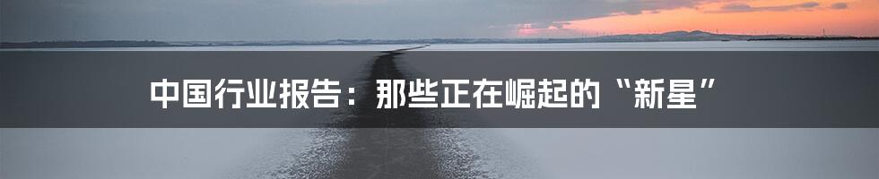 中国行业报告:那些正在崛起的“新星”