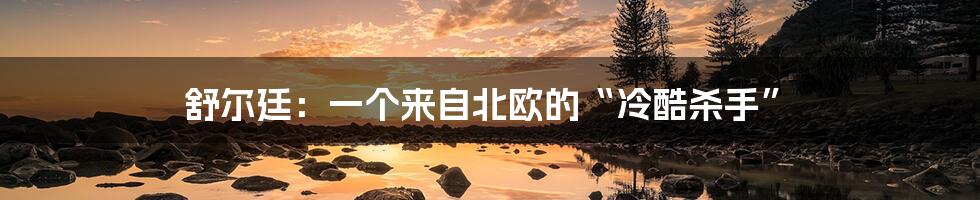 舒尔廷:一个来自北欧的“冷酷杀手”
