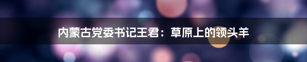 内蒙古党委书记王君:草原上的领头羊