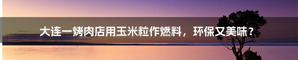 大连一烤肉店用玉米粒作燃料,环保又美味?
