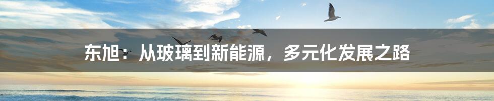 东旭:从玻璃到新能源,多元化发展之路
