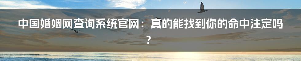 中国婚姻网查询系统官网:真的能找到你的命中注定吗?