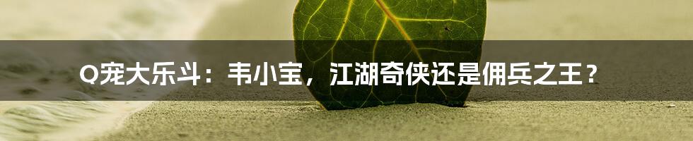 Q宠大乐斗:韦小宝,江湖奇侠还是佣兵之王?