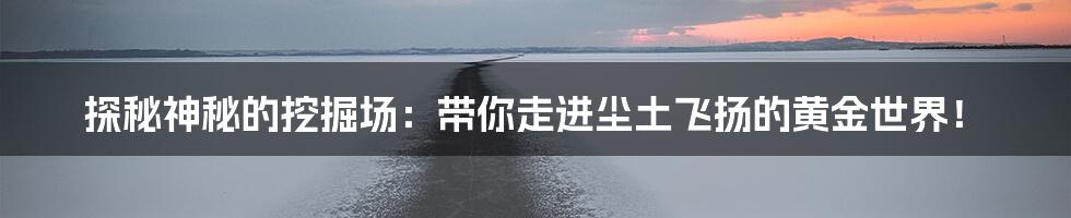 探秘神秘的挖掘场:带你走进尘土飞扬的黄金世界!