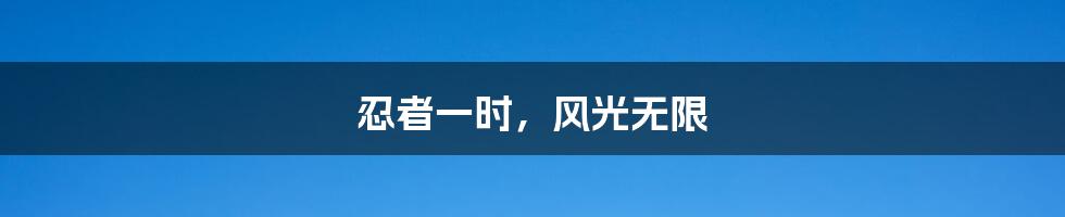 忍者一时,风光无限