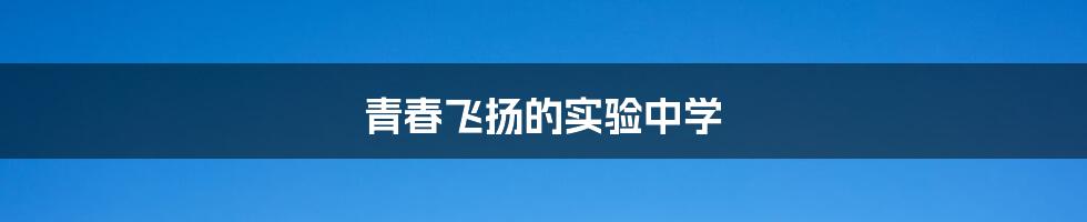 青春飞扬的实验中学