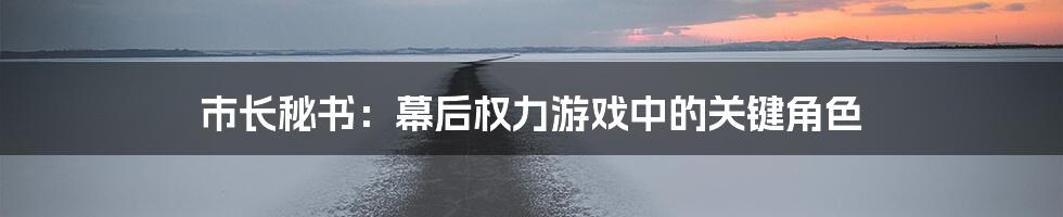 市长秘书:幕后权力游戏中的关键角色