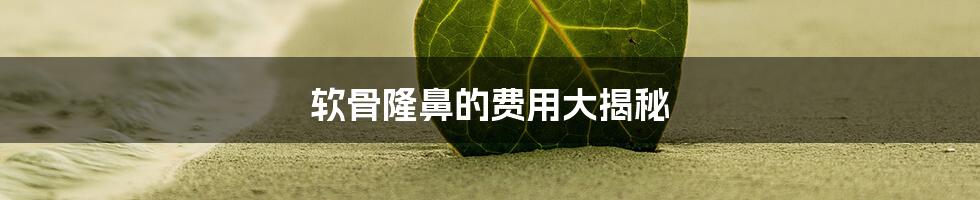 软骨隆鼻的费用大揭秘