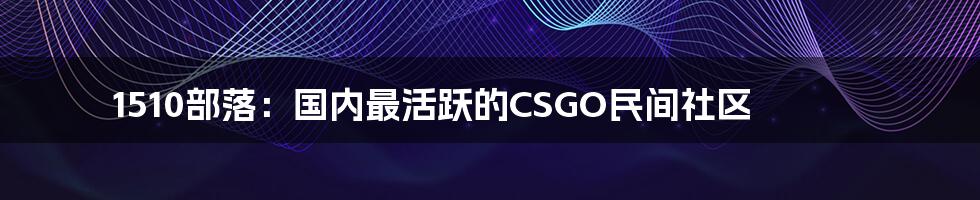 1510部落:国内最活跃的CSGO民间社区