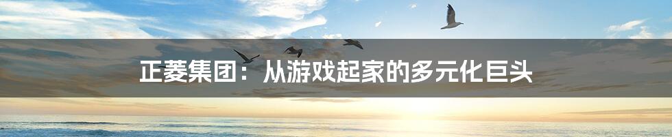 正菱集团:从游戏起家的多元化巨头