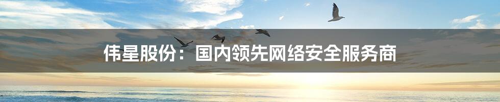 伟星股份:国内领先网络安全服务商