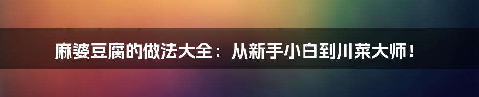 麻婆豆腐的做法大全:从新手小白到川菜大师!