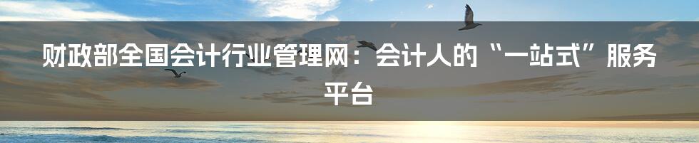 财政部全国会计行业管理网:会计人的“一站式”服务平台