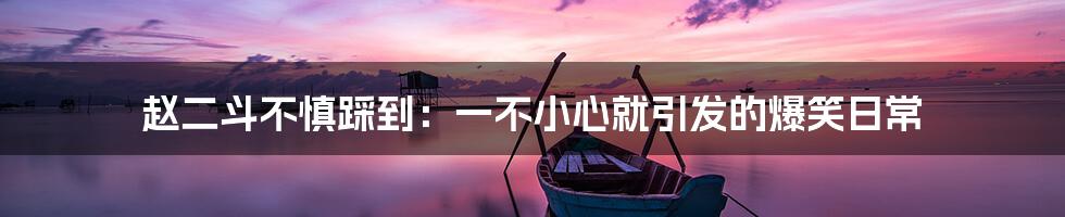 赵二斗不慎踩到:一不小心就引发的爆笑日常