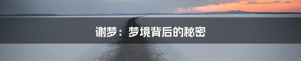 谢梦:梦境背后的秘密