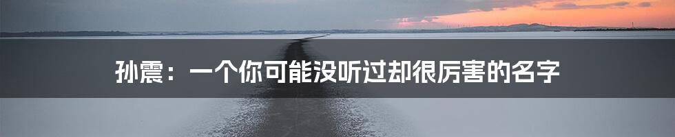 孙震:一个你可能没听过却很厉害的名字