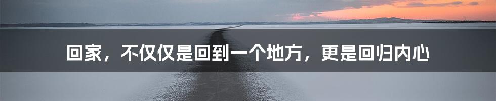 回家,不仅仅是回到一个地方,更是回归内心