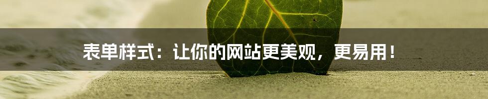 表单样式:让你的网站更美观,更易用!