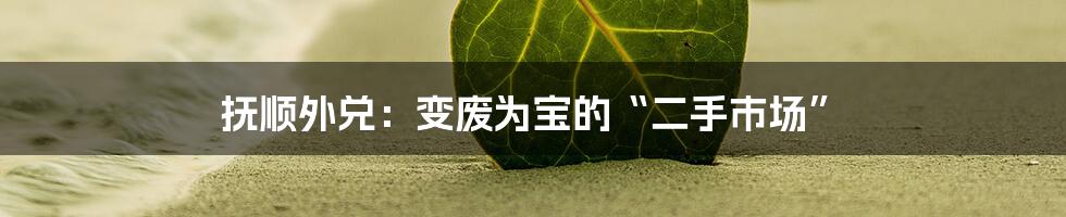 抚顺外兑:变废为宝的“二手市场”