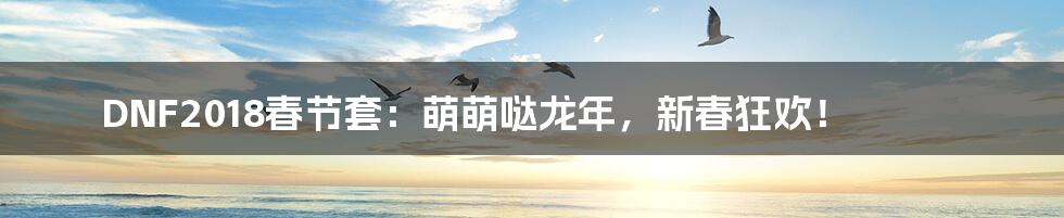 DNF2018春节套:萌萌哒龙年,新春狂欢!