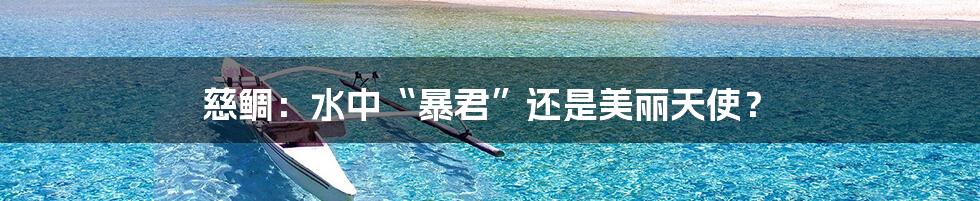 慈鲷:水中“暴君”还是美丽天使?