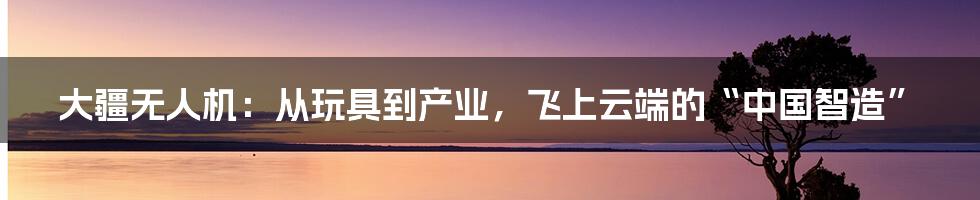 大疆无人机:从玩具到产业,飞上云端的“中国智造”
