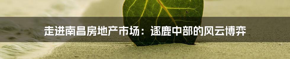 走进南昌房地产市场:逐鹿中部的风云博弈