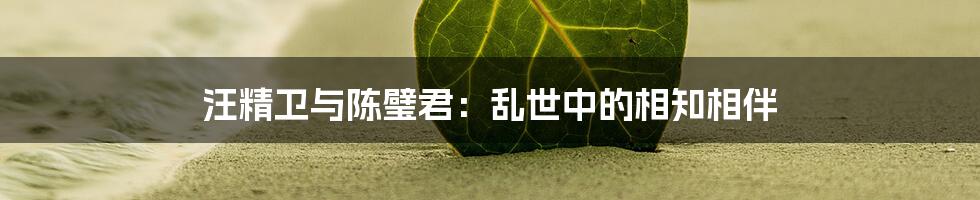 汪精卫与陈璧君:乱世中的相知相伴