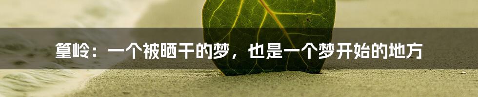 篁岭:一个被晒干的梦,也是一个梦开始的地方