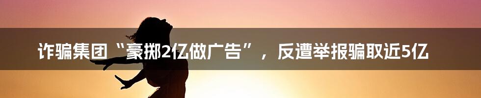 诈骗集团“豪掷2亿做广告”,反遭举报骗取近5亿