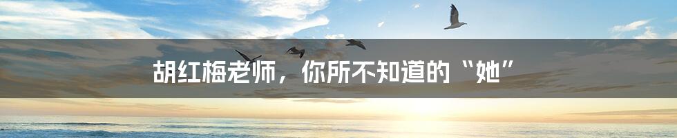 胡红梅老师,你所不知道的“她”