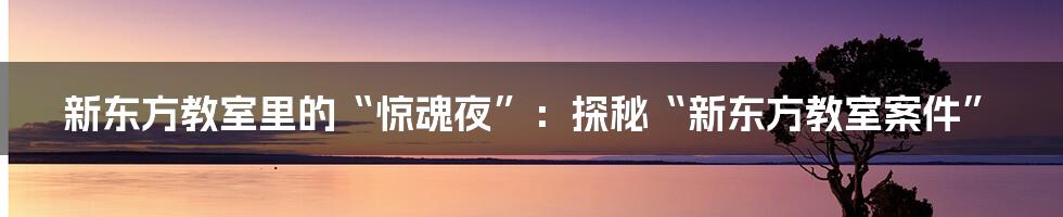 新东方教室里的“惊魂夜”:探秘“新东方教室案件”