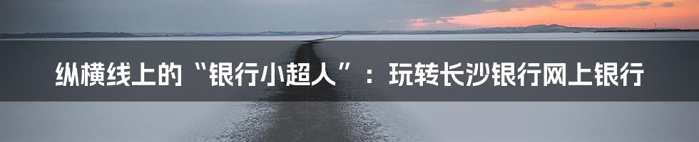 纵横线上的“银行小超人”:玩转长沙银行网上银行