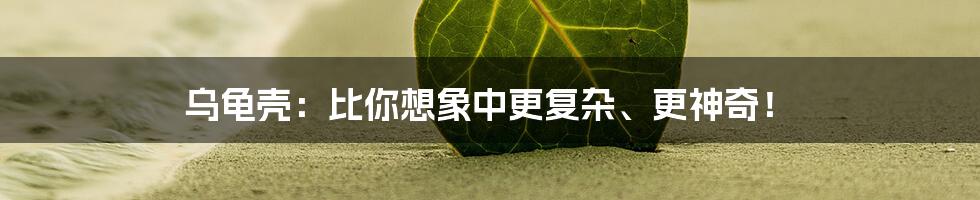 乌龟壳:比你想象中更复杂、更神奇!