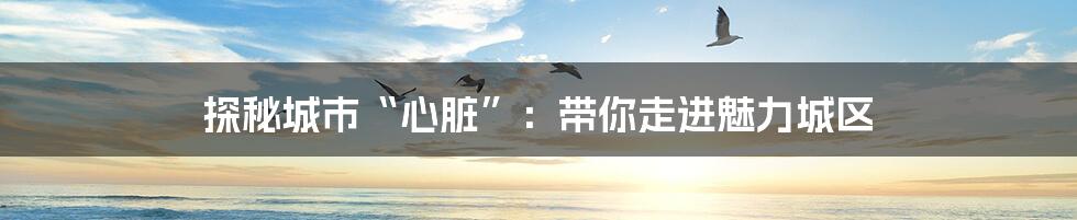 探秘城市“心脏”:带你走进魅力城区