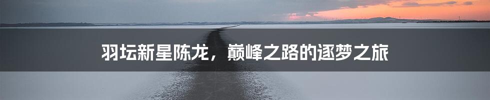 羽坛新星陈龙,巅峰之路的逐梦之旅
