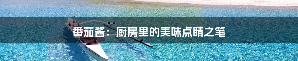 番茄酱:厨房里的美味点睛之笔