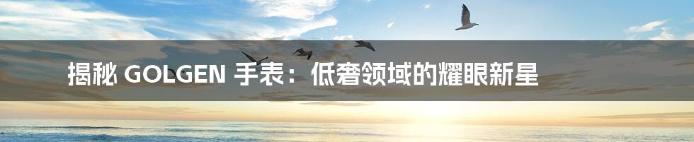 揭秘 GOLGEN 手表:低奢领域的耀眼新星