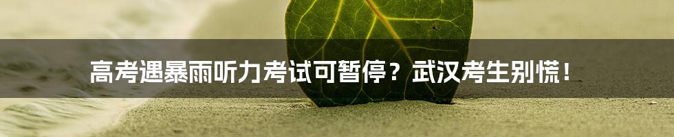 高考遇暴雨听力考试可暂停?武汉考生别慌!
