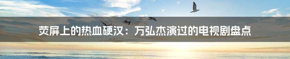 荧屏上的热血硬汉:万弘杰演过的电视剧盘点