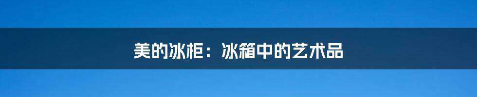 美的冰柜:冰箱中的艺术品