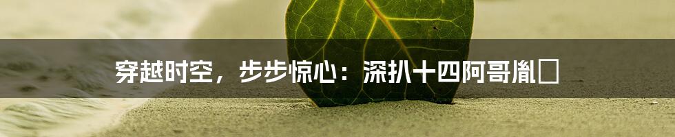 穿越时空,步步惊心:深扒十四阿哥胤禵