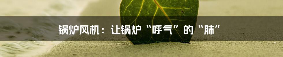 锅炉风机:让锅炉“呼气”的“肺”