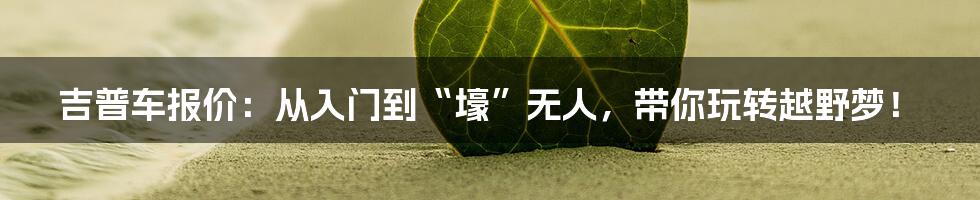 吉普车报价:从入门到“壕”无人,带你玩转越野梦!
